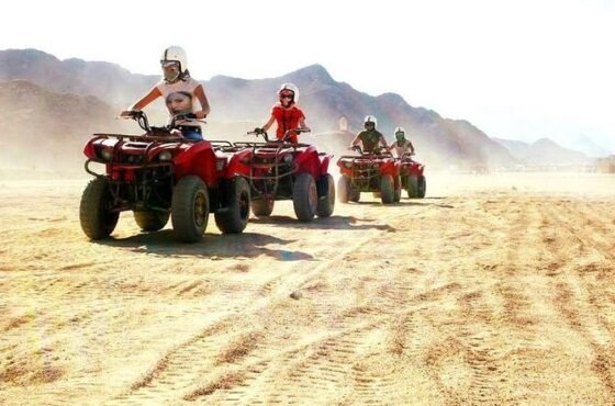 <font dir="auto" style="vertical-align: inherit;"><font dir="auto" style="vertical-align: inherit;">Hurghada: Sunset Quad Biking, Camel Ride with Stargazing and Optional BBQ</font></font>
