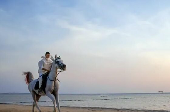 Marsa Alam : excursion à cheval dans la mer et le désert