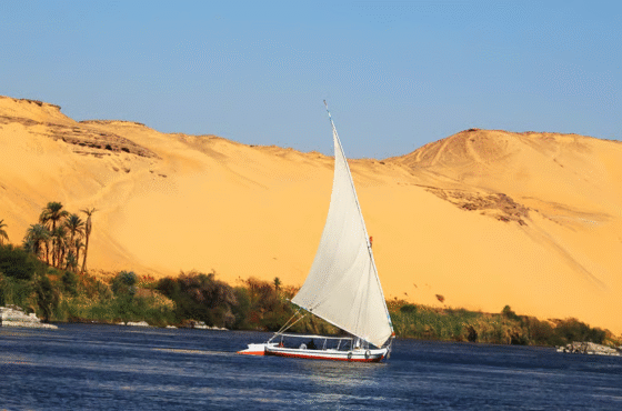 Promenade en felouque privée à Assouan : naviguez autour de l’île Éléphantine.