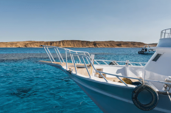 Marsa Alam : plongée en apnée avec les tortues marines Marsa Moubarak