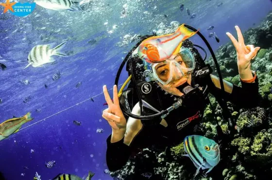 Hurghada : croisière de plongée sous-marine avec déjeuner et prise en charge