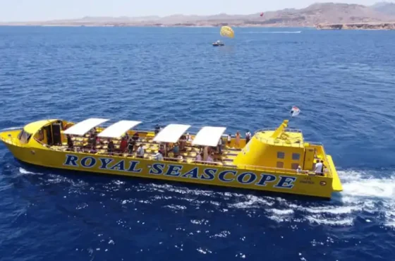 Hurghada : croisière sous-marine à bord du Royal Seascope avec arrêt plongée avec tuba