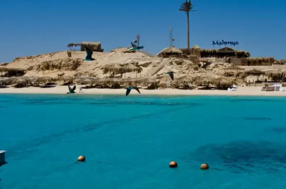 Île de Mahmya : expérience de navigation en mer Rouge