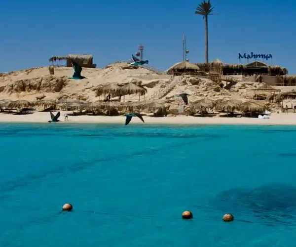 Île de Mahmya : expérience de navigation en mer Rouge